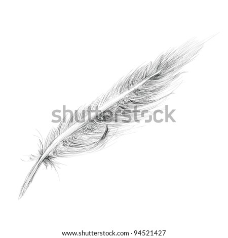 hand drawn feather