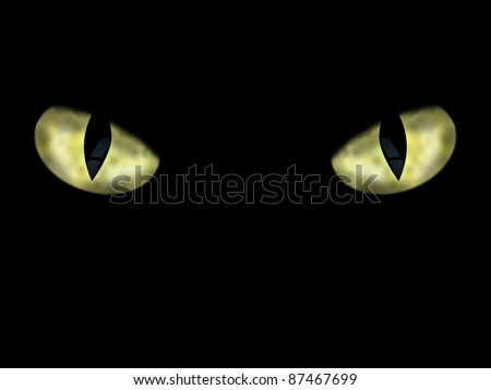 Wild Cat Eyes