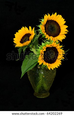 Sunflowers and Vase - Bright yellow sunflowers and a glass vase on a black background.