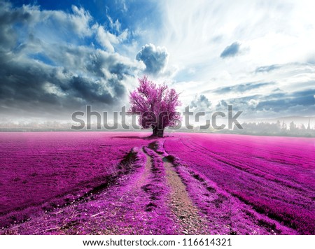 surreal landscape and tree on the road