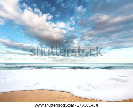 Beach landscape. Beach and idyllic blue sky