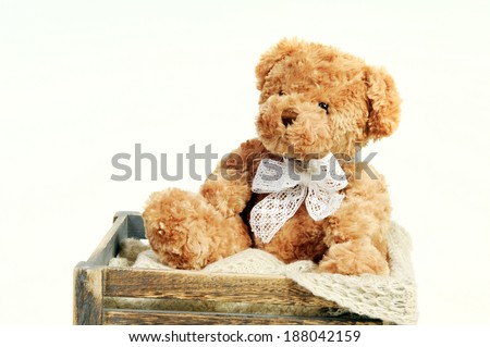 teddy bear soft toy isolated on white