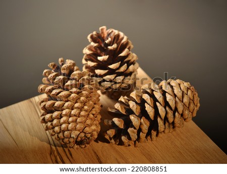 pine cones close up on wooden board on black background
