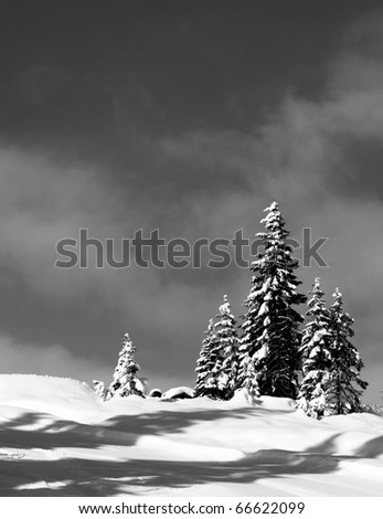 black and white winter scenery
