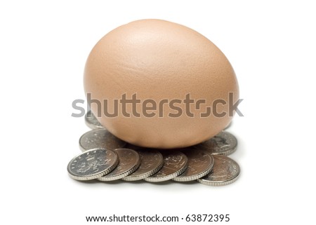 A single chicken\'s egg on a nest of silver coins, isolated against a white background.  A metaphor for the cost of life?  The fragile economy?