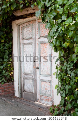 Old wooden door to a secret garden.