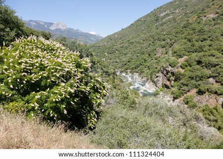 Buckeye California