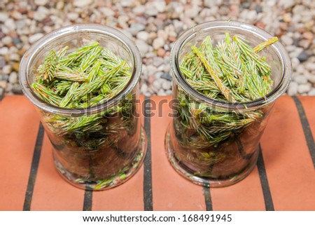 Syrup made of pine sprouts is natural remedy our great-grandmothers prepare to treat coughs and catarrh