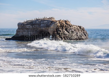Natural Bridges State Beach is a 65-acre (26 ha) California state park in Santa Cruz, California in the United States.