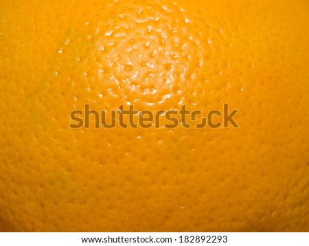 Orange is the fruit of the citrus species Citrus Ã?Â?? Ã?Â¢??sinensis in the family Rutaceae.