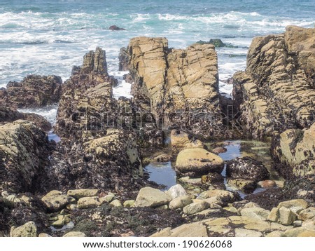 Tide pools, or rock pools, are rocky pools on the sea shore which are filled with seawater.
