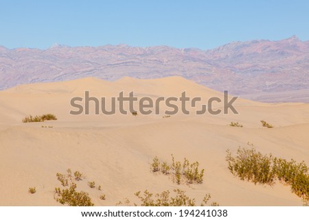 Mesquite Flat Sand Dunes are at the northern end of the valley floor and are nearly surrounded by mountains on all sides.