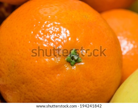 Mandarin orange is a small citrus tree (Citrus reticulata) with fruit resembling other oranges.