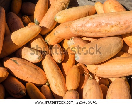 In shape and skin color, Banana winter squash is reminiscent of a banana. It grows up to two feet in length and about six inches in diameter. Its bright orange, finely-textured flesh is sweet.