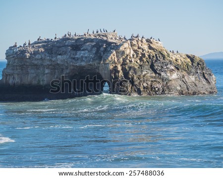 Natural Bridges State Beach is a 65-acre (26 ha) California state park in Santa Cruz, California in the United States.