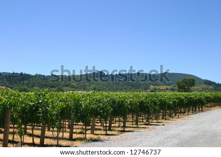 California wine is wine made in the U.S. state of California. Russian River springs from the Laughlin Range about 5 mi (8 km) east of Willits in Mendocino County.