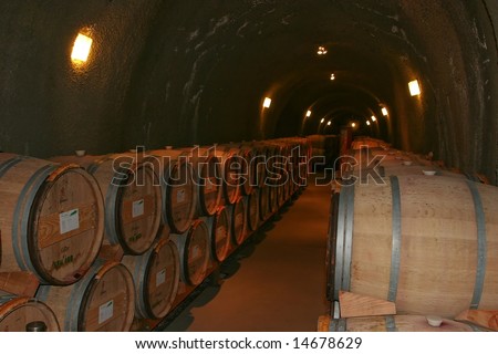Wine barrels in winery cellar in Napa, California