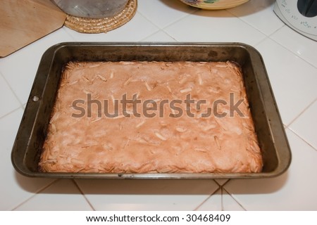 Polish Easter Cake. A softer version of shortbread, topped with almonds and cut into serving-sized squares.