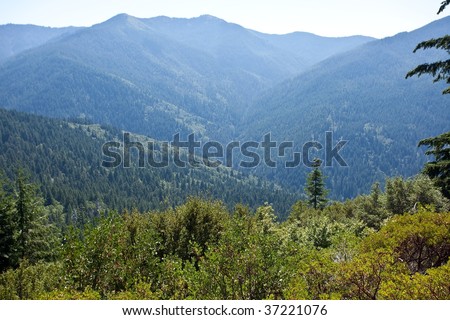 Bear Camp Road is a rugged mountain road traversing the Klamath Mountains in Josephine and Curry counties in the U.S. state of Oregon.