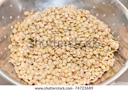 Lentil (Lens culinaris) is a type of pulse. It is a bushy annual plant of the legume family, grown for its lens-shaped seeds.
