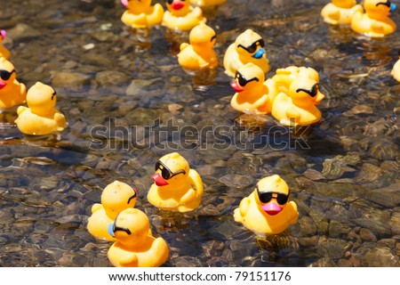 LOS GATOS, CA, USA - JUNE 12: The rubber duckies are kicking off their summer at the 4th Annual Silicon Valley Duck Race in Vasona Lake Park. June 12, 2011 in Los Gatos, CA, USA