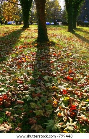 Autumn in Paris, color of nature