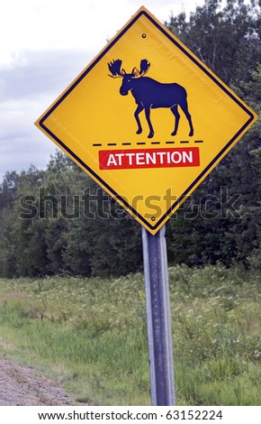 Moose Road Sign