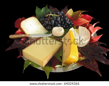 Autumn cheese platter: various cheese (from cow, goat or sheep milk) on a metal platter covered with autumn vine leaves. With muscat grapes & cutting knife. Shot on black background.