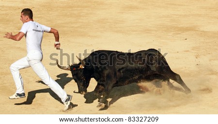 MAUGUIO, FRANCE - AUGUST 19: Competitor Charnelet  runs away from angry bull during traditional bull racing competition in Mauguio, Southern France on August 19, 2011.