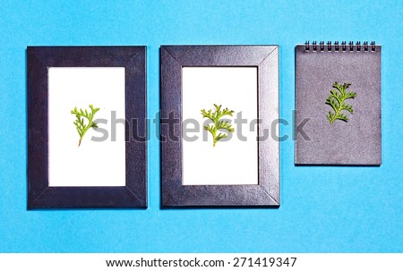 Two dark frame and note with three green twig. Blue background.