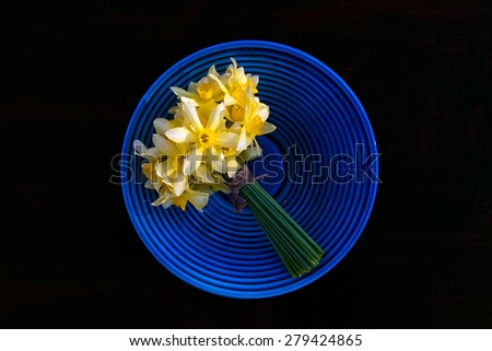 Bouquet of yellow Narcissuses flowers in striped deep blue plate over deep dark background.