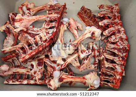 Box with blood bones in butchery of meat producing farm