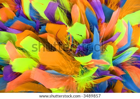 neon color feathers in a colorful array of soft fluffy background feather