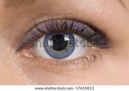 Beautiful womans eye close-up