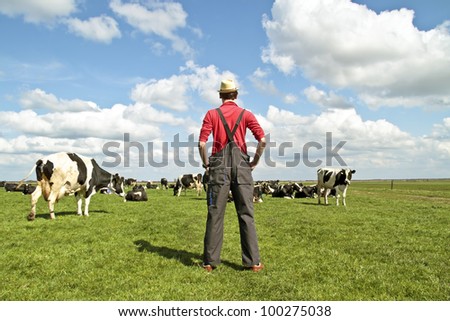 Farmer looking at his cows in the countryside from the Netherlands