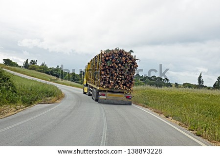 Truck with wood driving in the countryside from Portugal