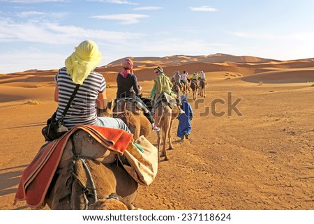 Camel caravan going through the sand dunes in the Sahara