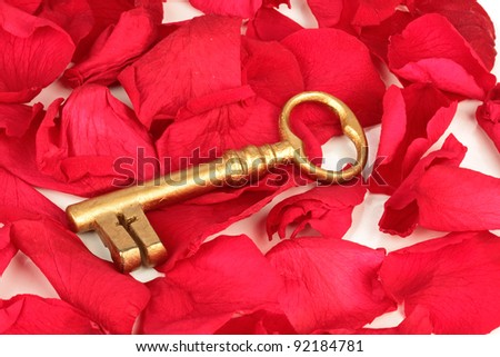 The golden key to success on rose petals