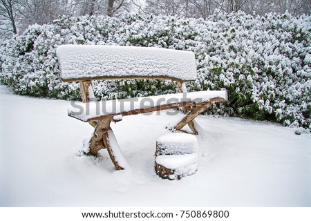 Snowy wooden bench in the forest in winter