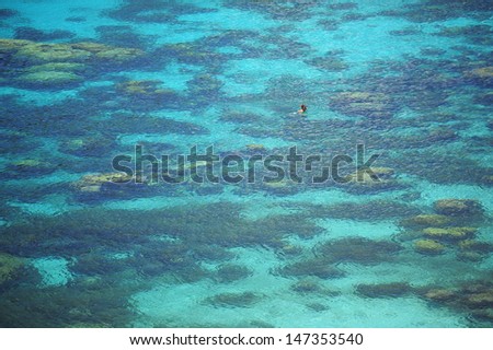 High view of dive in blue sea