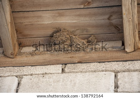 An image of bird nest under barn roof