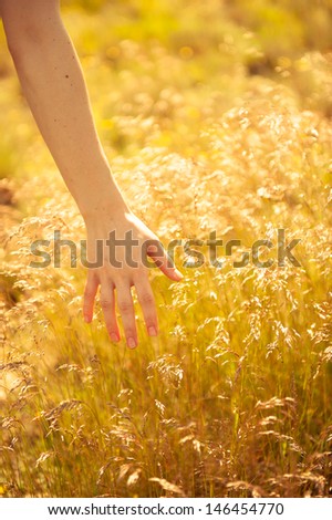 woman\'s hand touching the blades of grass at sunset