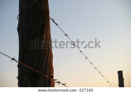 Wire fence at sunset