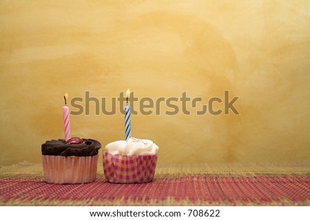 two cupcakes on pink and brown table cloth in front of  wall - copy space