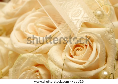 close-up of a roses in a wedding bouquet.  Shallow DOF