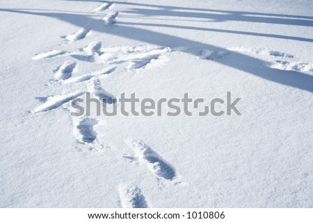 Footprints and shadows of people in snow.  Bluetone picture.