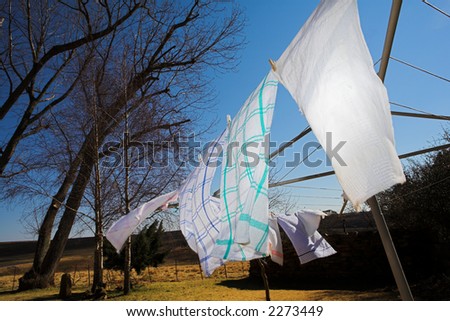 Tea towels on the washing line, blowing in the wind â€“ Movement on the Towels
