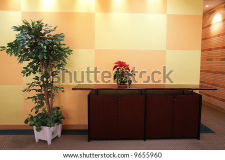 Small plant against an orange block pattern in an office lobby on a brown cabinet top with a evergreen tree on the side