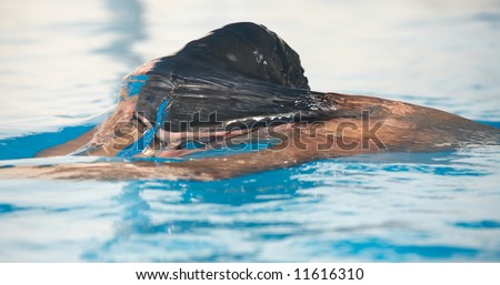 Healthy young adult male aquatic athlete. Professional swimmer in blue water