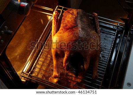 Golden Brown roasted goose still in the oven light by the oven lamp